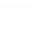 royalnyx logo